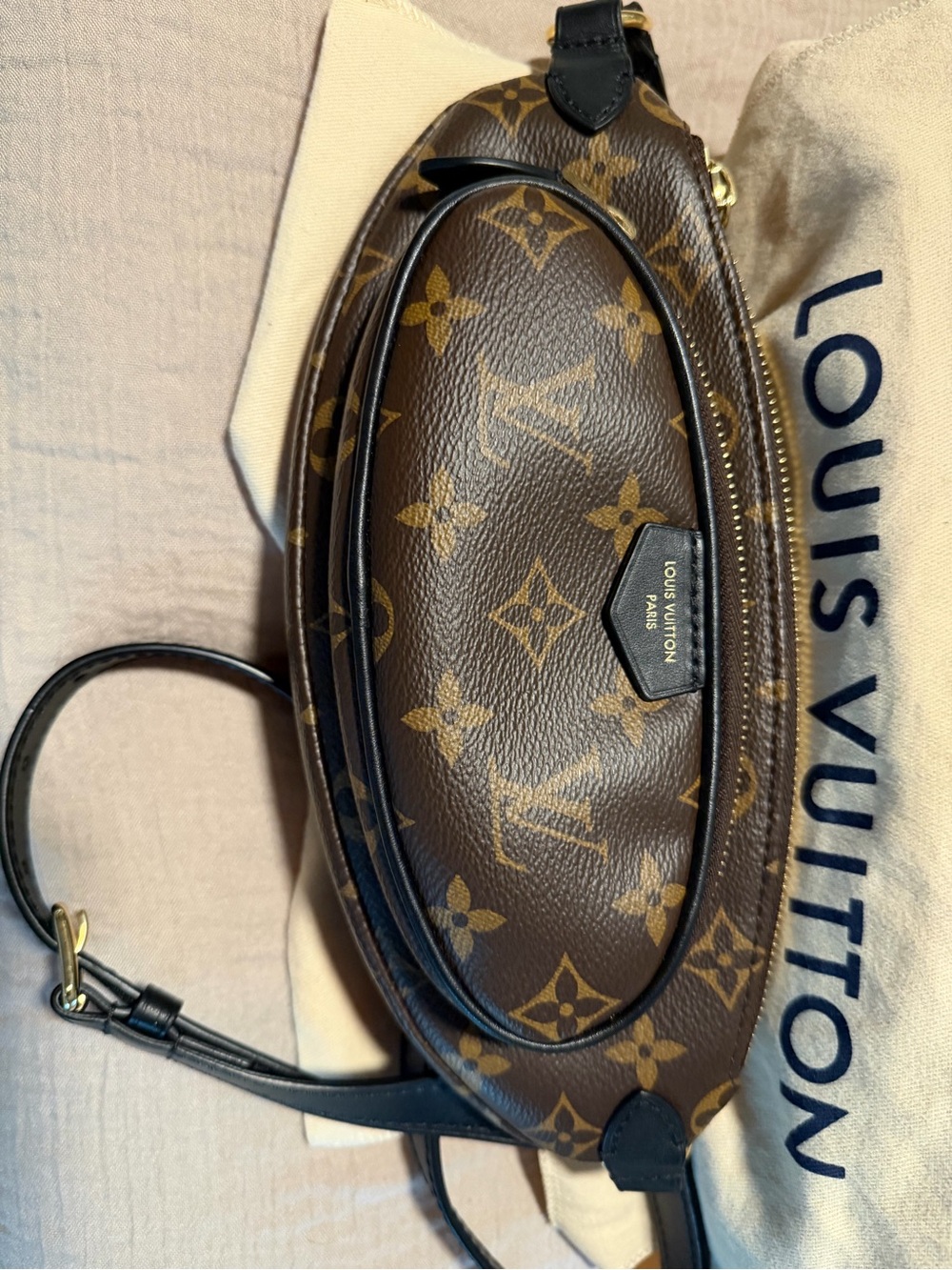 Louis Vuitton Brown Monogram Crossbody Bumbag with Black Strap - Picture 2 of 11